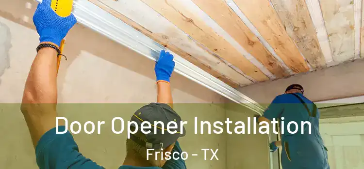  Door Opener Installation Frisco - TX