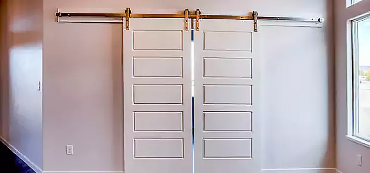 Glass Barn Door with Installation Hardware Kit Frisco