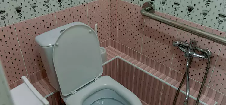 Meeting Diverse Needs With Accessible Restroom Solutions in Frisco, TX