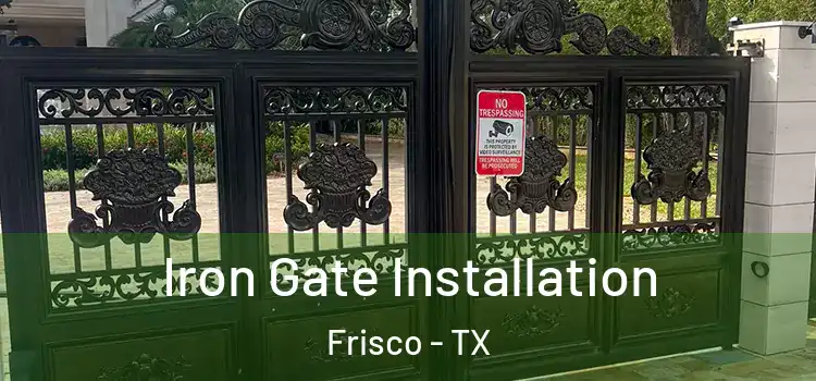 Iron Gate Installation Frisco - TX